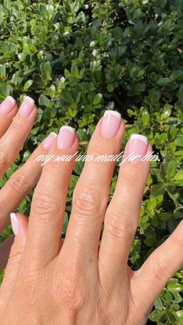 Soft pink French set by Mary Leon, photographed in natural light
